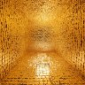 1758008123_in-de-ban-van-goud